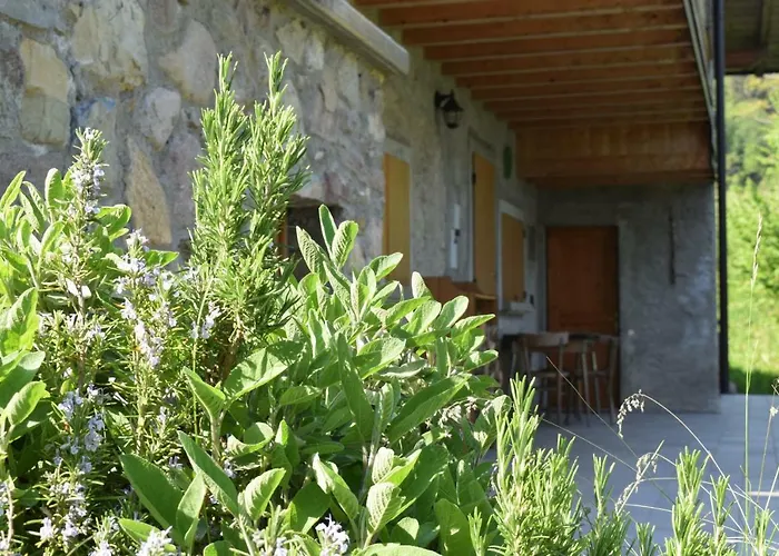 Walking's House Mountain Iseo Hospitality *