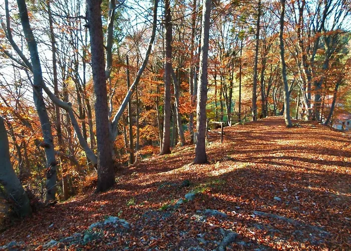 Walking's House Mountain Iseo Hospitality Дом отдыха *
